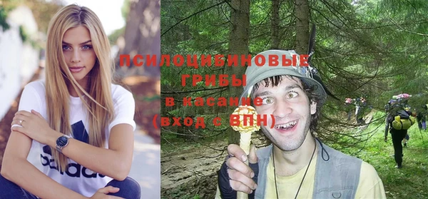 a pvp Алзамай