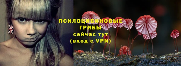 Альфа ПВП Россошь